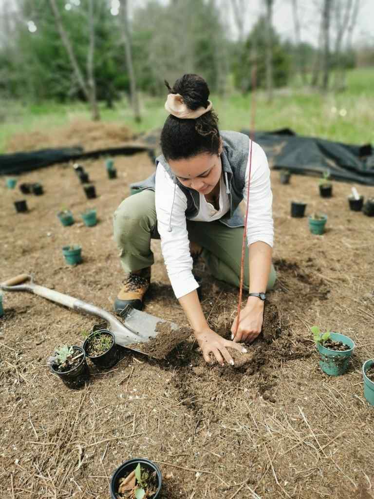 Volunteer planting a tree at Dance Nature Sanctuary
