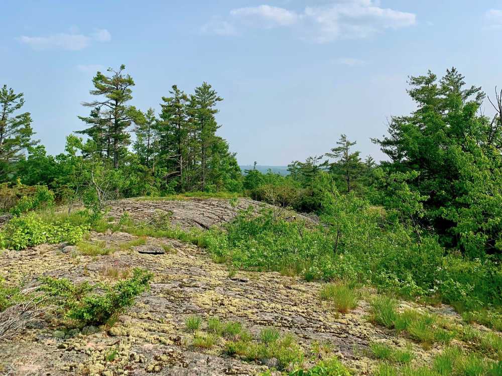 Rock barrens at Kawartha Highlands South