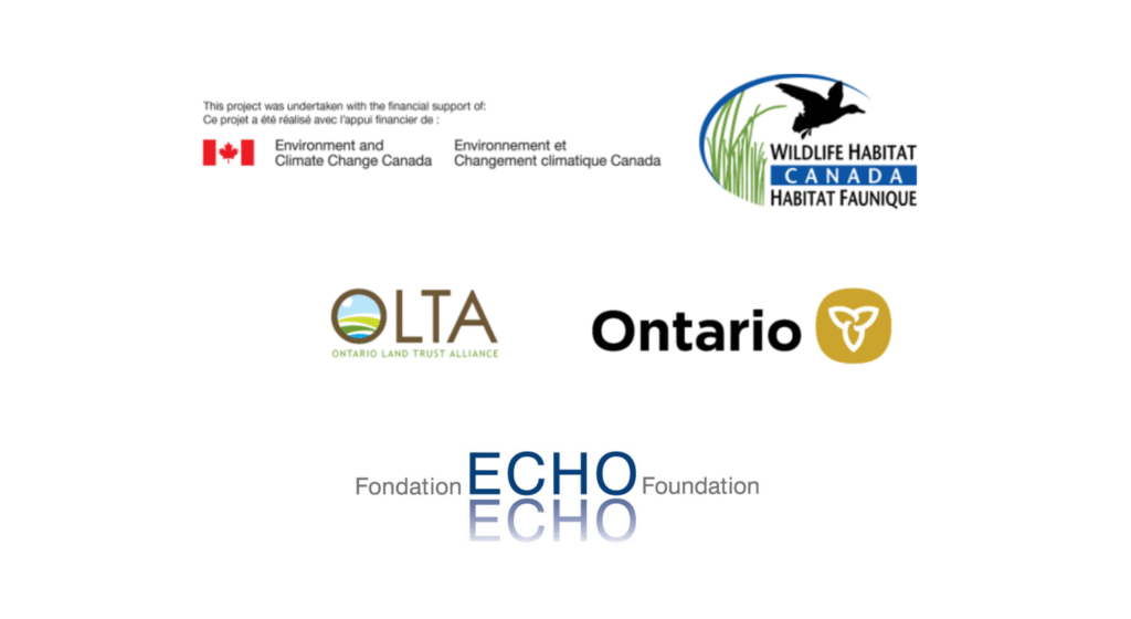 Logos